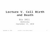 Lecture V. Cell Birth and Death Bio 3411 Wednesday September 15, 2010 1 Lecture V. Cell Birth & Death.