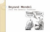 Beyond Mendel Into the Genetic Frontier. Mendelian Genetics Mendel is the tip of the “genetics iceberg” As people have studied genetics, they have realized.