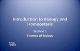 Introduction to Biology and Homeostasis Section 1 Themes of Biology Biology Fall 2010.