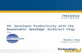 A9: Developer Productivity with the Roundtable ® OpenEdge ® Architect Plug-in Randall Harp Product Architect.