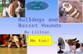 Bulldogs and Basset Hounds By Lillian Kreiss I can’t wait to hear this! Me too!