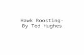 Hawk Roosting- By Ted Hughes. Ted Hughes 1930 to 1998 In 2008 The Times ranked Hughes fourth on their list of "The 50 greatest British writers since 1945".