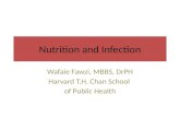 Nutrition and Infection Wafaie Fawzi, MBBS, DrPH Harvard T.H. Chan School of Public Health.