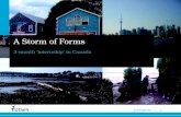 1 Challenge the future A Storm of Forms 3-month ‘internship’ in Canada.