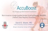 Non-invasive image-guided breast brachytherapy (NIIGBB) [Patient Data Registry Excerpts] David E. Wazer, MD Tufts University School of Medicine Brown University.