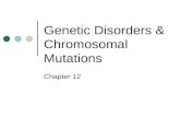 Genetic Disorders & Chromosomal Mutations Chapter 12.