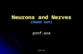 Prof. aza Neurons and Nerves (Hand out) prof.aza.