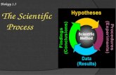 Biology 1.3 The Scientific Process. Scientific Process  Steps of the Scientific Process 1. Identify the Problem 2. Gather information 3. Form Hypothesis.