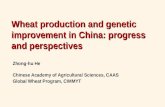 Wheat production and genetic improvement in China: progress and perspectives Zhong-hu He Chinese Academy of Agricultural Sciences, CAAS Global Wheat Program,