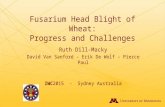 Fusarium Head Blight of Wheat: Progress and Challenges Ruth Dill-Macky David Van Sanford – Erik De Wolf – Pierce Paul IWC2015 - Sydney Australia.