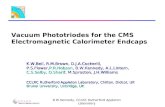 B W Kennedy, CCLRC Rutherford Appleton Laboratory Vacuum Phototriodes for the CMS Electromagnetic Calorimeter Endcaps K.W.Bell, R.M.Brown, D.J.A.Cockerill,