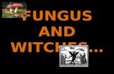 FUNGUS AND WITCHES…. THE SALEM WITCH TRIALS 1692 A series of hearings prosecuting many people of practicing witchcraft… Women and men were executed by.