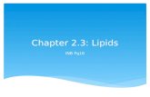 Chapter 2.3: Lipids INB Pg16. Do Now 10/9  Very diverse group of chemicals  Most common: triglycerides  Usually known as fats and oils Lipids.