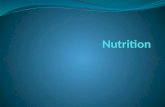 What is Nutrition? Nutrition is the relationship of food to the well being of the human body.