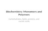 Biochemistry: Monomers and Polymers Carbohydrates, lipids, proteins, and nucleic acids.