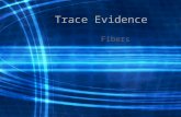 Trace Evidence Fibers. Sources Carpets, clothing, linens, furniture, insulation and rope.