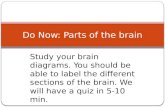 Study your brain diagrams. You should be able to label the different sections of the brain. We will have a quiz in 5-10 min. Do Now: Parts of the brain.