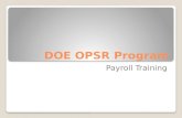 DOE OPSR Program Payroll Training. Payroll Cards: 101 All Participants will have payments sent to a personalized Payroll Card ◦Name ◦Visa Logo ◦PIN Benefits.
