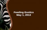 Feeding Exotics May 1, 2013. What we can do today Can easily formulate specialized diets for livestock and pets Know very precise nutrients in common.