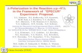 -Polarization in the Reaction   p  K 0  in the Framework of "EPECUR" Experiment Proposal. I.G. Alekseev, P.E. Budkovsky, V.P. Kanavets, M.M. Kats,