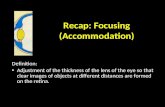 Recap: Focusing (Accommodation) Definition: Adjustment of the thickness of the lens of the eye so that clear images of objects at different distances.