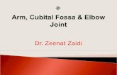 Dr. Zeenat Zaidi.  At the end of this session, students should be able to:  DESCRIBE the attachments, actions & innervations of: biceps brachii, coracobrachialis,