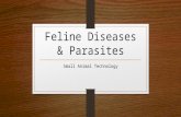 Feline Diseases & Parasites Small Animal Technology.