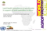 Land health surveillance & Agroforestry in support of land restoration in Africa Ermias Betemariam (e.betemariam@cgiar.org) Keith Shepherd Dennis Garrity.
