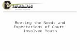 Meeting the Needs and Expectations of Court-Involved Youth.