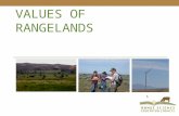 VALUES OF RANGELANDS. Define multiple use Identify and discuss the benefits and uses of rangeland Objectives.