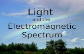 Light and the Electromagnetic Spectrum. What Kind of Wave Is Light and What Vibrates to Make It? When an electric charge vibrates, the electric field.