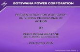 1 PRESENTATION FOR WORKSHOP ON VIENNA PROGRAMME OF ACTION BY PEGO MOSALAKATANE (BPC PLANNING AND PROJECTS) 28 October 2015.