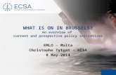 WHAT IS ON IN BRUSSELS? An overview of current and prospective policy initiatives EMLO – Malta Christophe Tytgat – ECSA 8 May 2014.