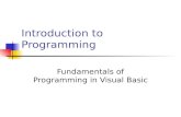 Introduction to Programming Fundamentals of Programming in Visual Basic.