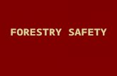 FORESTRY SAFETY. TERMS ACCIDENT: any sudden or unintentional event that causes injury or property damage ANTISEPTIC: a substance such as alcohol, iodine.
