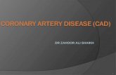 DR ZAHOOR ALI SHAIKH 1. CORONARY ARTERY DISEASE (CAD) What is Coronary Artery Disease?  CAD is heart disease due to impaired coronary blood flow. 2.