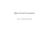 Bio Crash Course ALL THINGS DNA. 24-2 DNA structure and replication cont’d. Structure of DNA – Determined by Watson and Crick Double helix Composed of.