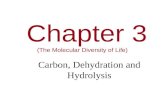 Chapter 3 (The Molecular Diversity of Life) Carbon, Dehydration and Hydrolysis.