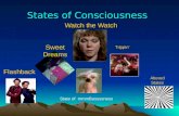 States of Consciousness Flashback Sweet Dreams Watch the Watch Trippin’ Altered States State of mmmBussssness.