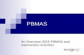 PBMAS An Overview 2015 PBMAS and Intervention Activities.