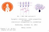 1 Bi / CNS 150 Lecture 8 Synaptic inhibition; cable properties of neurons; electrical integration in cerebellum Wednesday, October 15, 2013 Henry Lester.