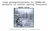 Snow parametrisations in COSMO-RU: analysis of winter-spring forecasts 2009-2010 COLOBOC Workshop. Moscow, 6 September 2010.