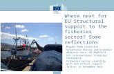 Where next for EU Structural support to the fisheries sector? Some reflections Miguel Peña Castellot Structural Policy and Economic Analysis Unit, DG MARE/A-3.