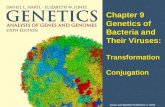Chapter 9 Genetics of Bacteria and Their Viruses: Transformation Conjugation Jones and Bartlett Publishers © 2005.