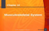 1 Copyright © 2005 Mosby, Inc. All rights reserved. Chapter 14 Musculoskeletal System.