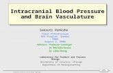 LPPD NSF REU Site, University of Illinois-Chicago, Summer 2006 Intracranial Blood Pressure and Brain Vasculature Advisors: Professor Linninger Dr. Michalis.