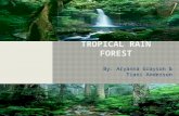 By: Aryanna Grayson & Tiani Anderson.  A tropical rainforest is a biome type that occurs roughly within the latitudes 28 degrees north or south of the.