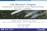 CSA Microsat Program Canadian Wildland Fire Monitoring System (CWFMS) Timothy Lynham / Marleen van Mierlo NRCAN, Canadian Forest Services (CFS) / Canadian.