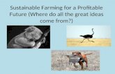 Sustainable Farming for a Profitable Future (Where do all the great ideas come from?)