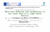 Melt Pool Behavior and Coolability in the Lower Head of a Light Water Reactor - Progress in WP5-2 of SARNET2 Weimin Ma Division of Nuclear Power Safety.